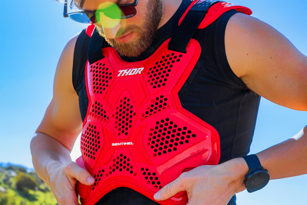 Sentinel LTD Roost Guard