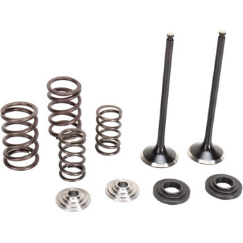 Moose Offroad Exhaust Valve and Spring Kit Valve and Spring Kit - KTM 250SX-F | 250XC-F | 250XCF-W