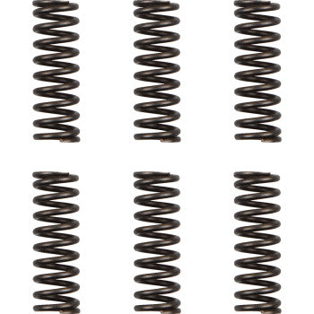 Moose Offroad Clutch Spring Set Clutch Springs - WR/YZ 450F