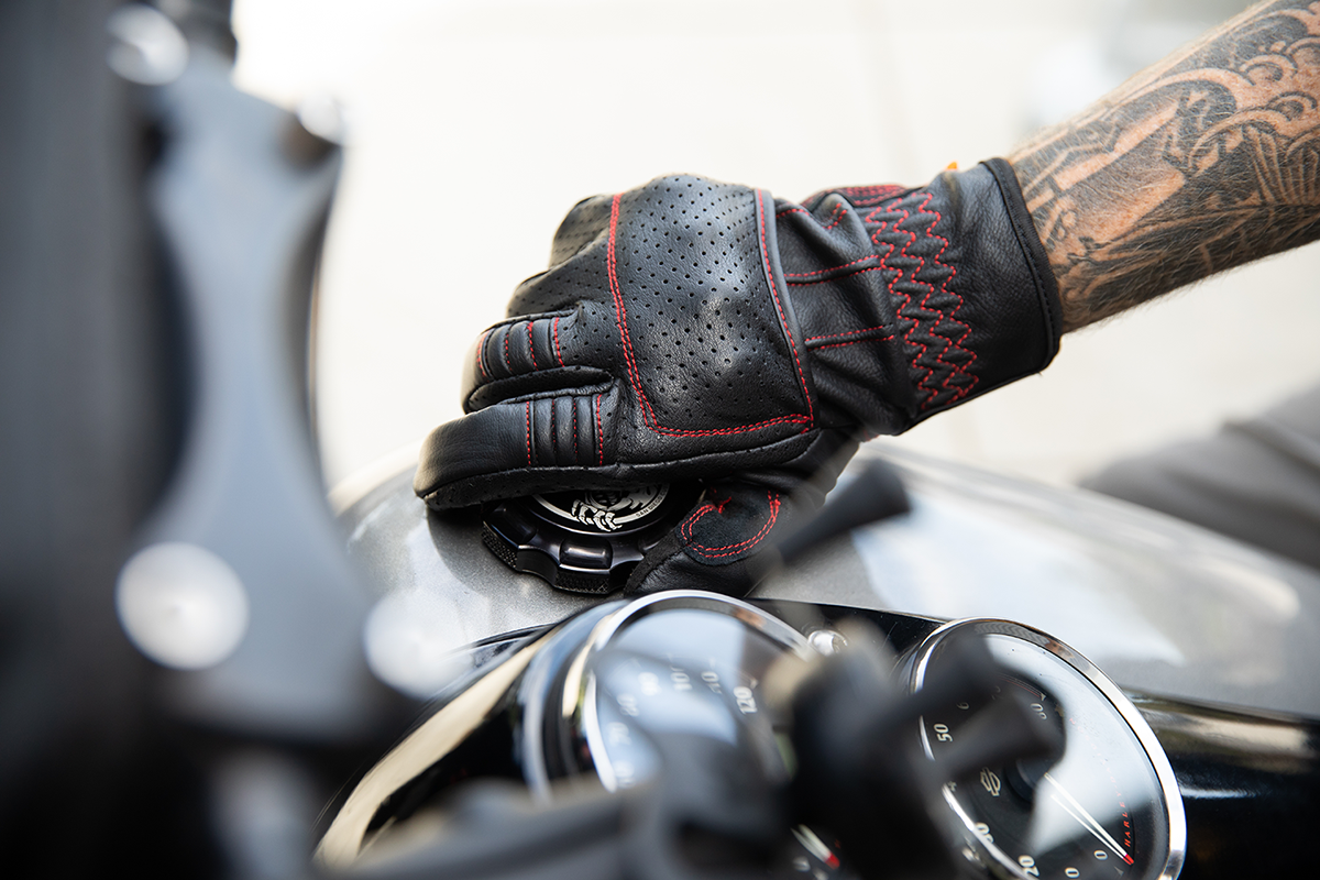 Borrego Gloves
