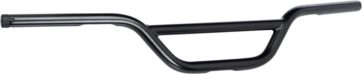 1" Handlebar w/ TBW Plugs