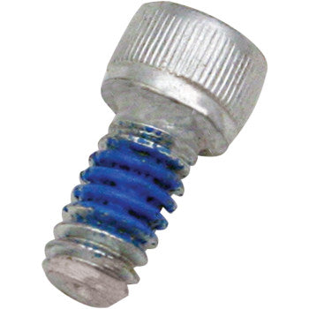 S&S Cycle Replacement Air Cleaner Screw - Backplate - 1/4"-20 x 1/2"
