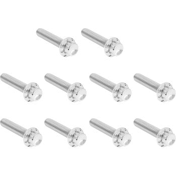 Cam Cover/Point Cover Titanium 12-Point Bolt Kit
