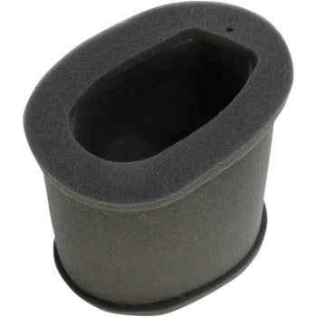 Replacement Air Filter