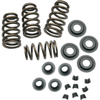S&S Cycle 0.650" Sidewinder® Valve Spring Kit - Twin Cam '99-'04 | XL '86-'03