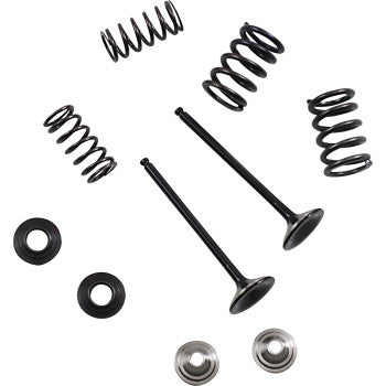 Moose Offroad Exhaust Valve and Spring Kit Valve and Spring Kit - Yahama WR250F | YZ250FX | YZ250F