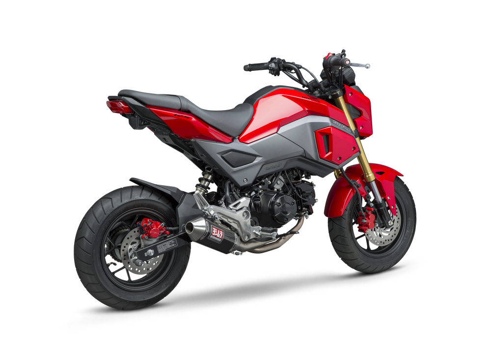 EXHAUST RACE RS-2 FULL-SYS SS-CF-SS WORKS