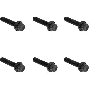 Transmission Side Cover Titanium 12-Point Bolt Kit