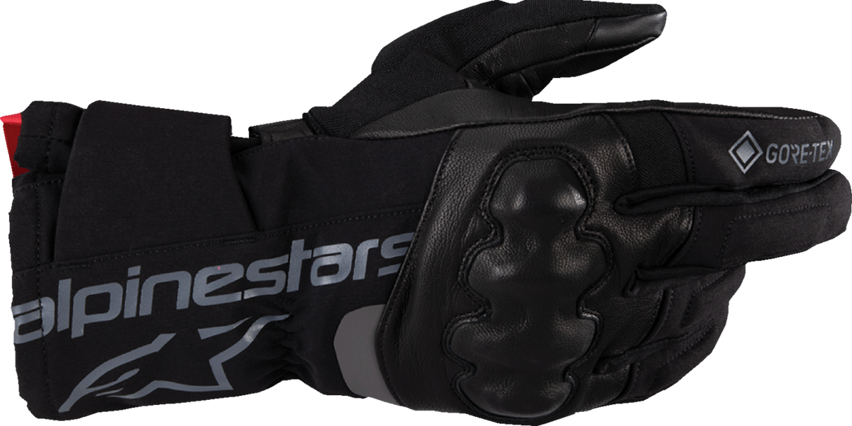 WT-4 Gore-Tex® Insulated Gloves