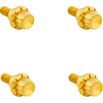 Windshield Titanium 12-Point Bolt Kit