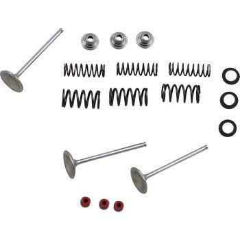 Moose Offroad Intake Valve and Spring Kit Valve and Spring Kit - Yamaha WR450F | YZ450F