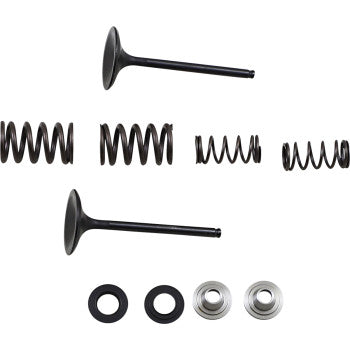 Moose Offroad Intake Valve and Spring Kit Valve and Spring Kit - Kawasaki KX450F