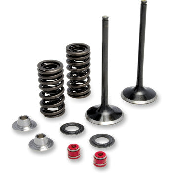 Moose Offroad Exhaust Valve and Spring Kit Valve and Spring Kit - Honda CRF250R