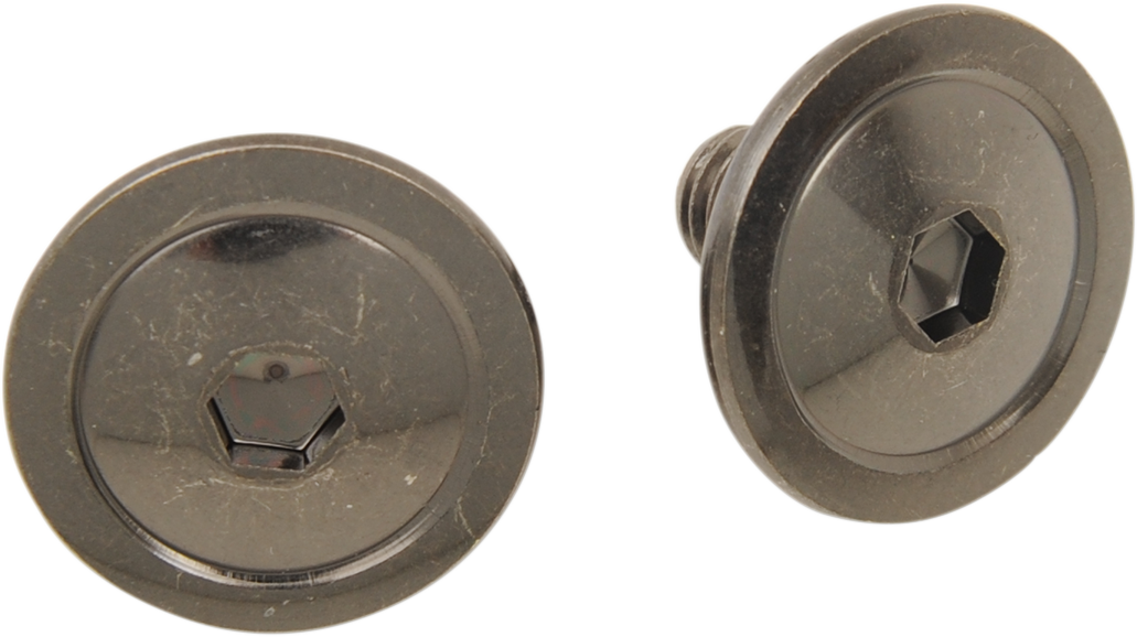 F.I. Helmet Visor Screws