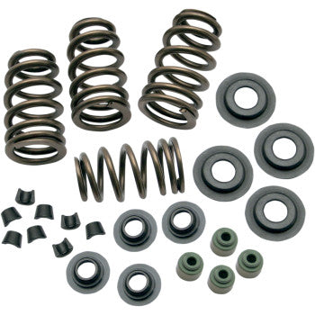 S&S Cycle 0.650" Sidewinder® Valve Spring Kit - Sidewinder® - 88"/96"/103" Twin Cam '05-'17