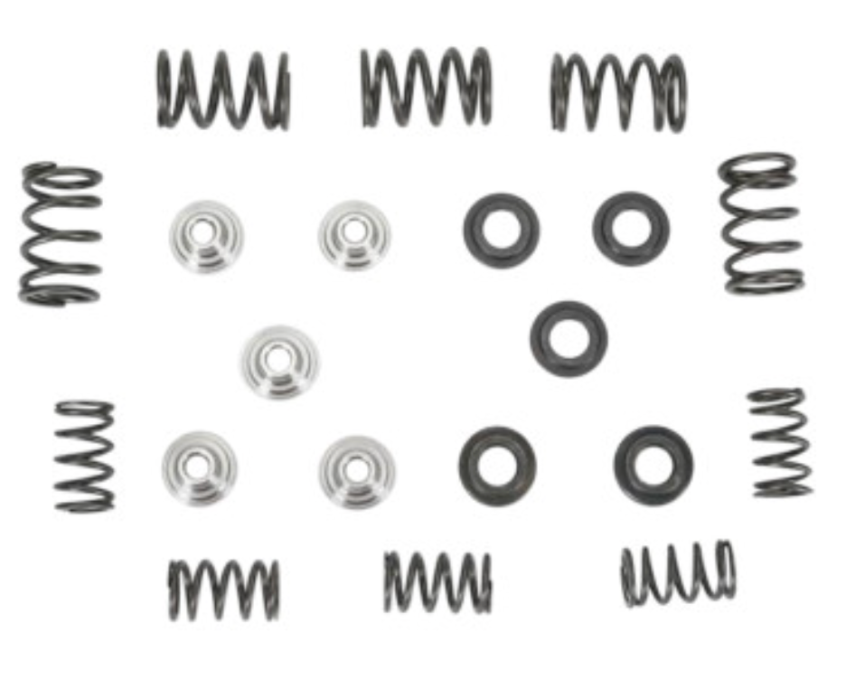 Lightweight Racing Valve Spring Kit