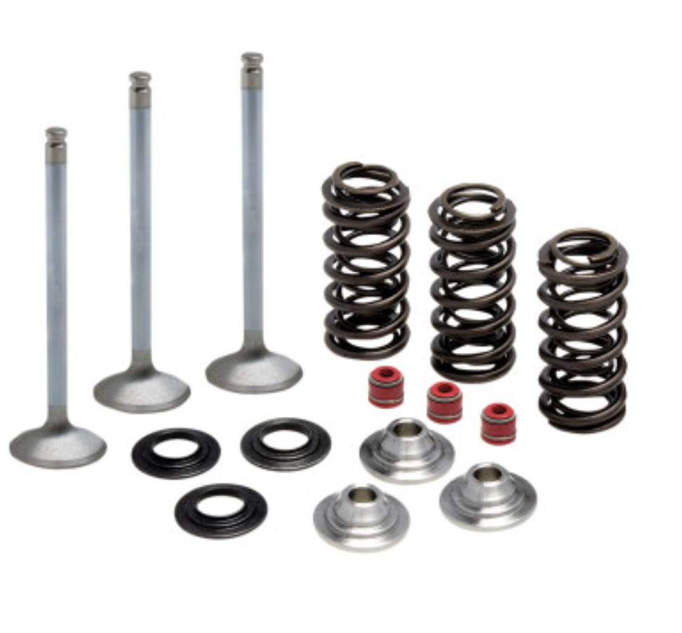 Intake Stainless Conversion Valve and Spring Kit