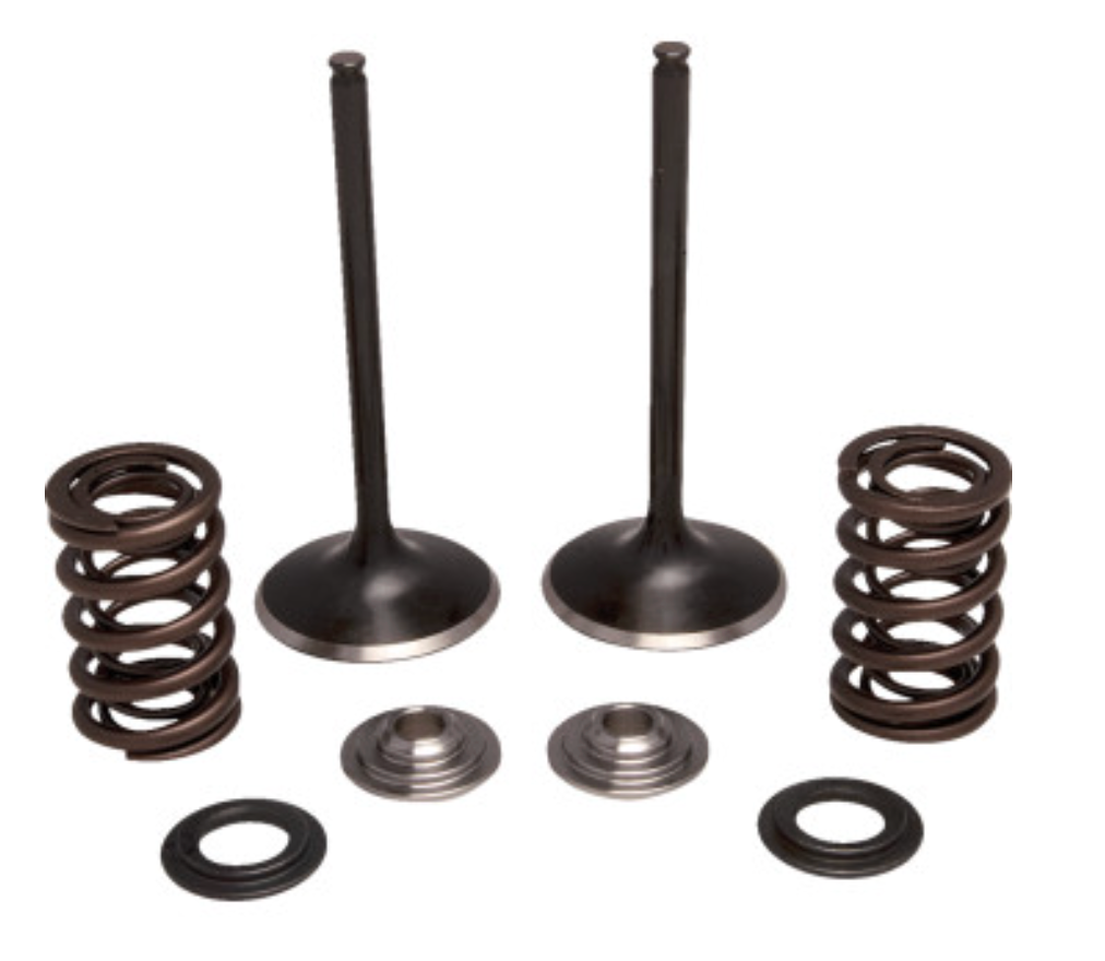 Intake Stainless Conversion Valve and Spring Kit