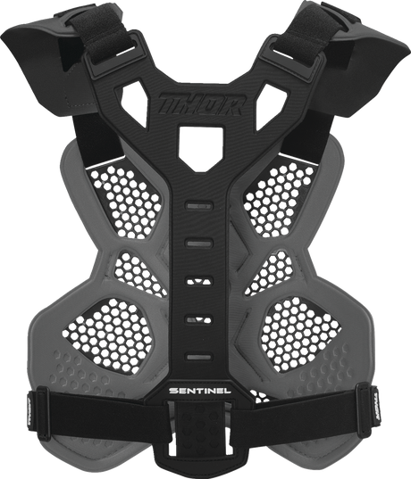 Sentinel LTD Race Guard