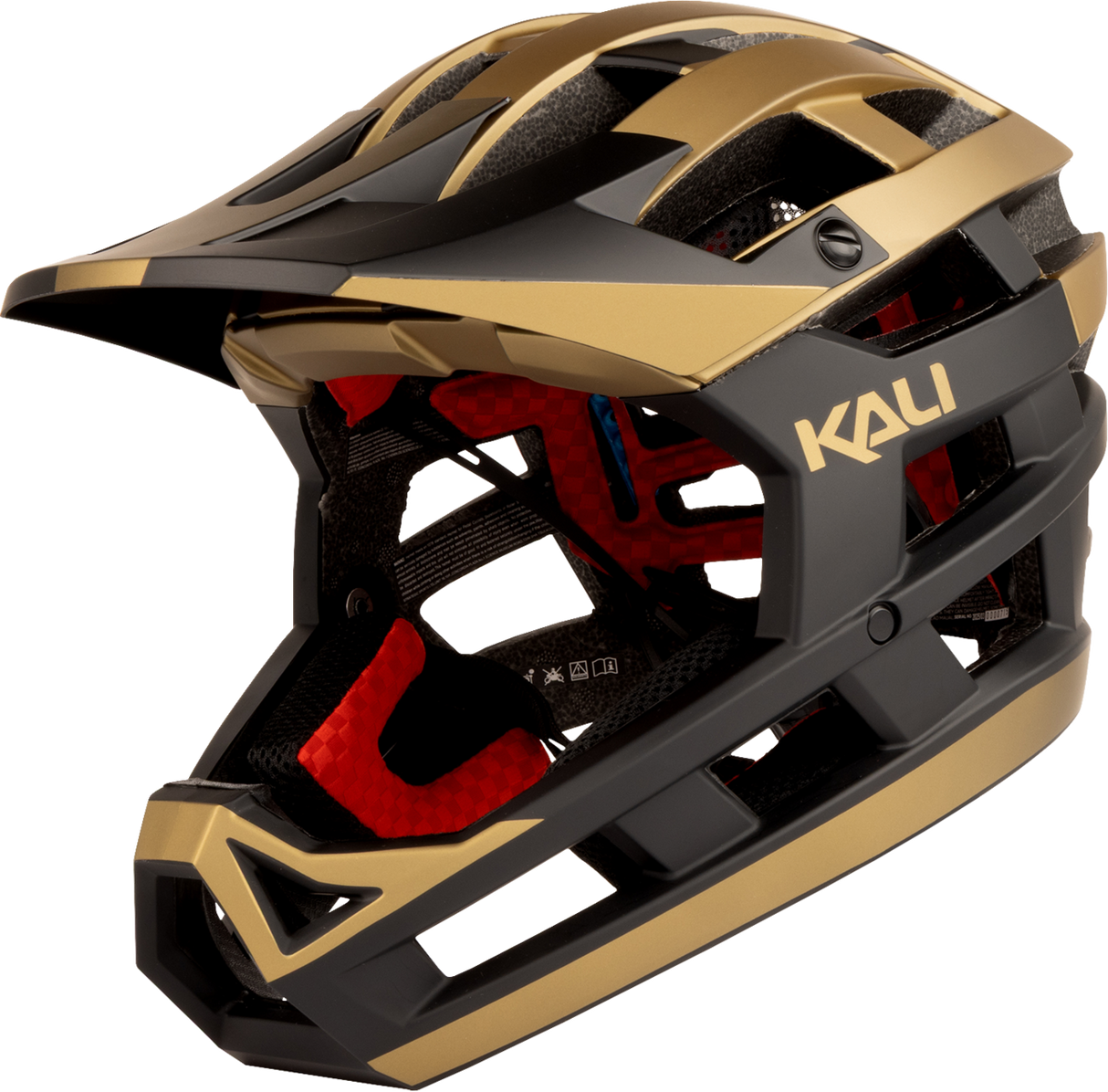 Invader 2.0 Bicycle Helmet