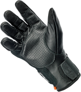 Borrego Gloves