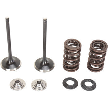 Moose Offroad Intake Valve and Spring Kit Valve and Spring Kit - Suzuki RMZ250