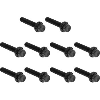 Cam Cover/Point Cover Titanium 12-Point Bolt Kit