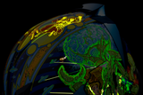 Airflite™ Bugoid Blitz Helmet