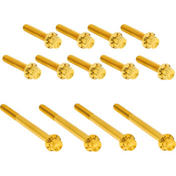 Outer Primary Cover Titanium 12-Point Bolt Kit