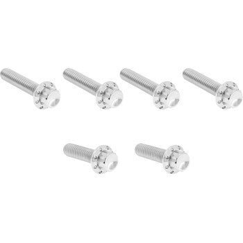 Transmission Side Cover Titanium 12-Point Bolt Kit