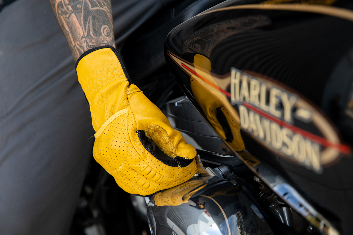 Borrego Gloves