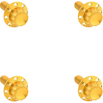 12-Point Windshield Bolt Kit