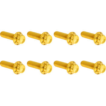 Transmission Trap Door Titanium 12-Point Bolt Kit — For M8 Models