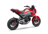 EXHAUST RACE RS-2 FULL-SYS SS-CF-SS WORKS
