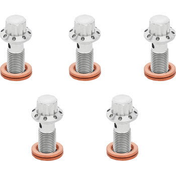 Titanium 12-Point Banjo Bolt