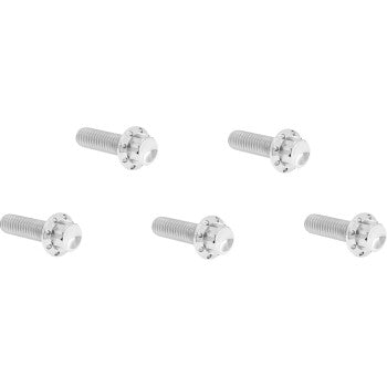 Derby Cover 12-Point Titanium Bolt Kit