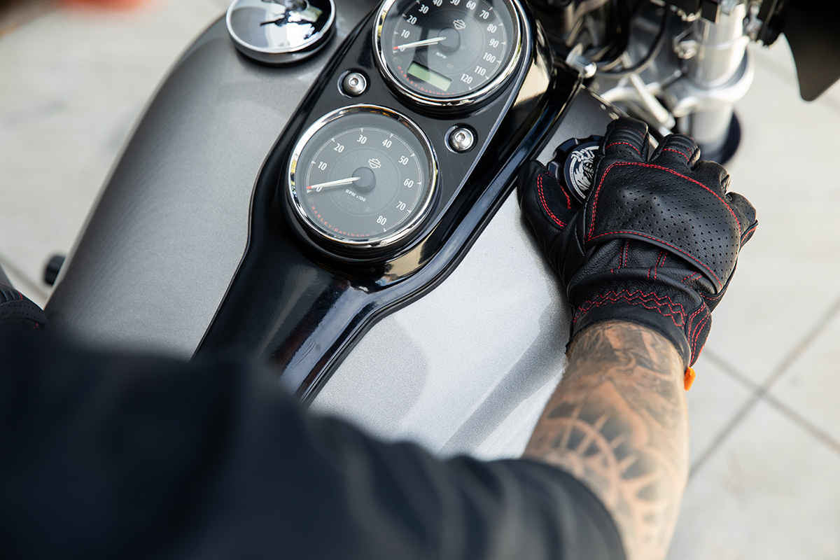 Borrego Gloves