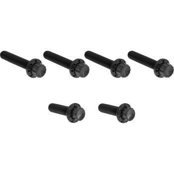 Transmission Side Cover Titanium 12-Point Bolt Kit
