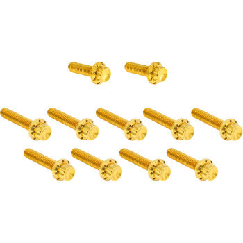 Cam Cover/Point Cover Titanium 12-Point Bolt Kit