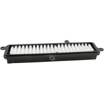 Scooter Air Filter