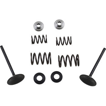 Moose Offroad Intake Valve and Spring Kit Valve and Spring Kit - Suzuki LTR450 Quad Racer