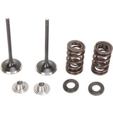 Moose Offroad Intake Valve and Spring Kit Valve and Spring Kit - Kawasaki KX450F