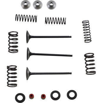 Moose Offroad Intake Valve and Spring Kit Valve and Spring Kit - Yamaha WR250F | YZ250F