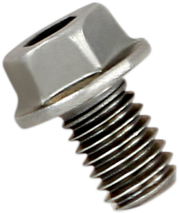 Replacement Exhaust Bolt — Bolt