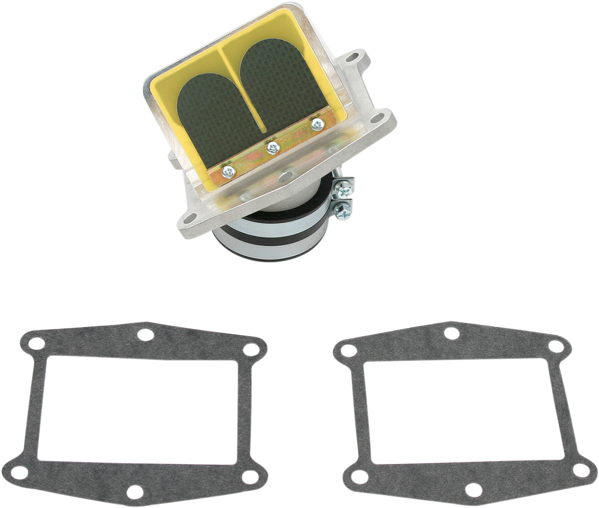 Rad Valve Reed Cage Assembly