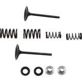 Moose Offroad Intake Valve and Spring Kit Valve and Spring Kit - Kawasaki KX450F