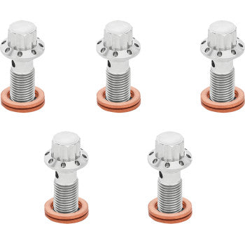 Titanium 12-Point Banjo Bolt