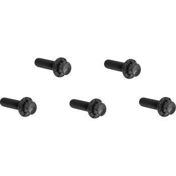 Derby Cover Titanium 12-Point Bolt Kit