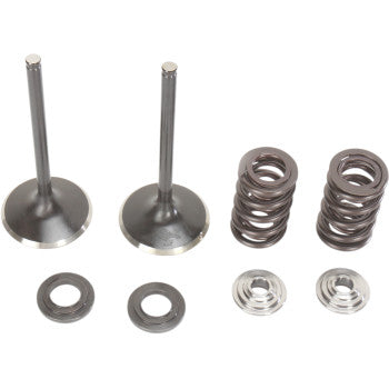 Moose Offroad Intake Valve and Spring Kit Valve and Spring Kit - Suzuki RMZ450