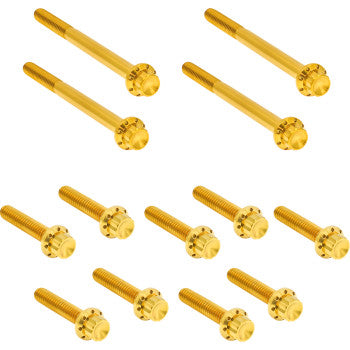 Outer Primary Cover Titanium 12-Point Bolt Kit